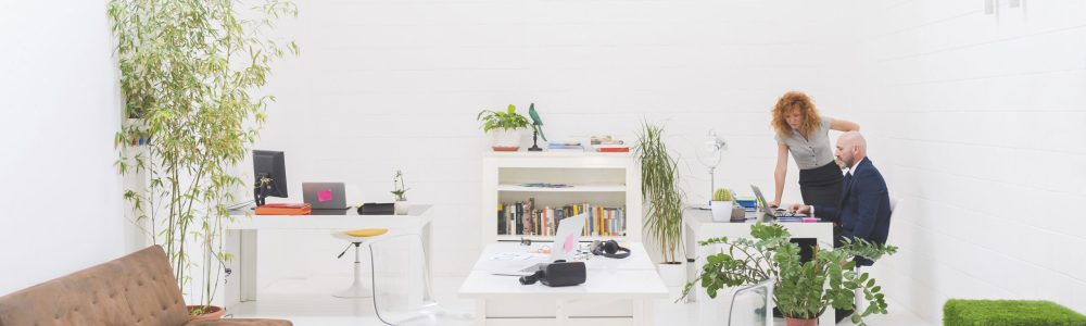 Businessman and woman looking at laptop in office meeting